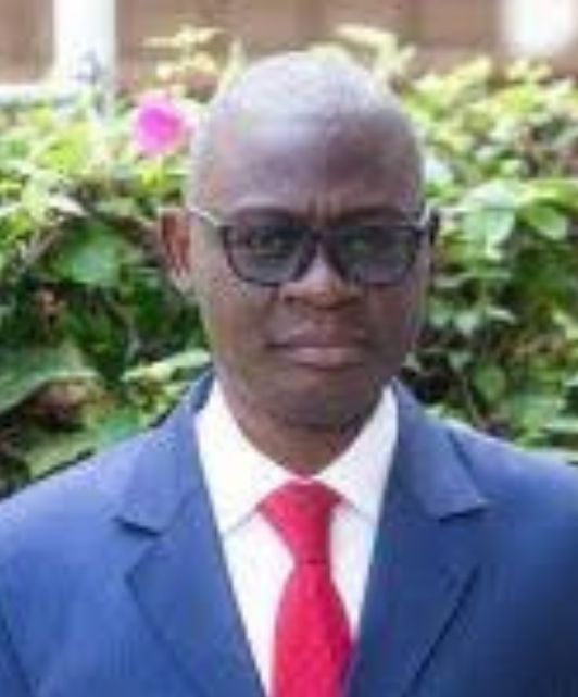 Prof. Theophile Ndougsa Mbarga